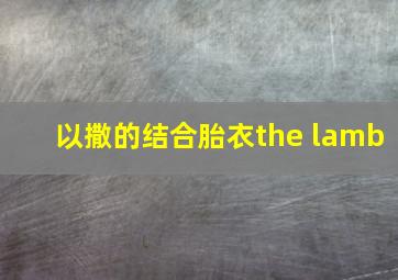 以撒的结合胎衣the lamb